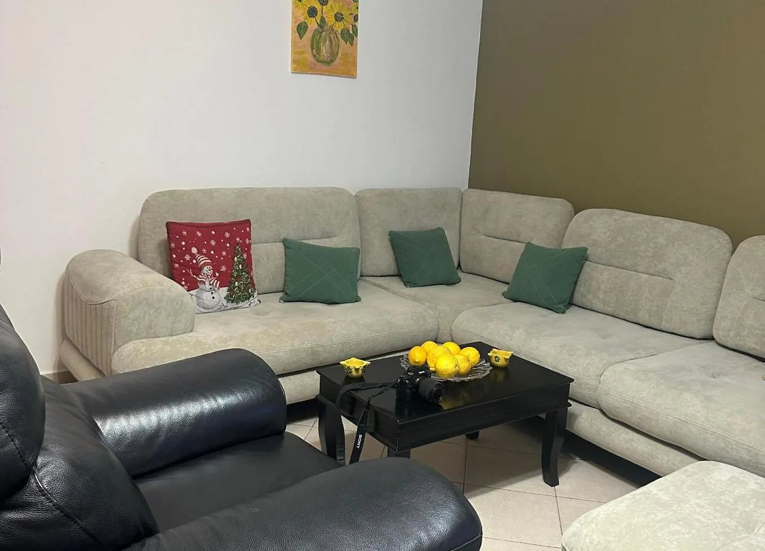 Brejsa'S Nest Apartman Tirana 0*,  Albánia