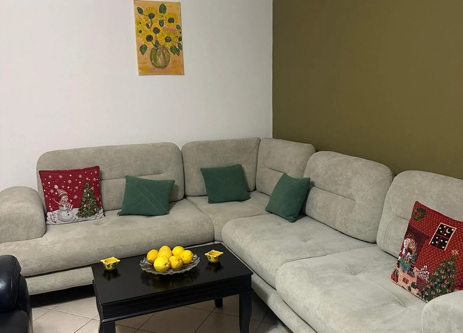 Brejsa'S Nest Apartman Tirana Albánia